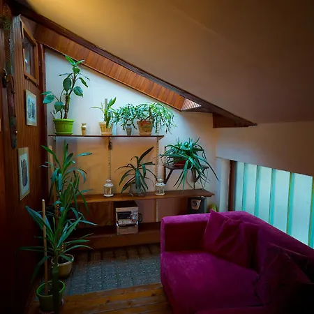 Vintage House On Sava Temple Street Apartment *